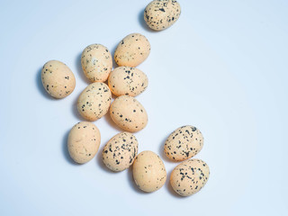 Exotic eggs on pastel backgrounds individually.