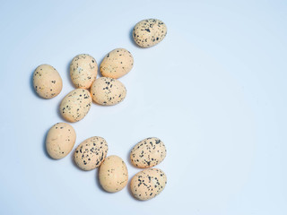 Exotic eggs on pastel backgrounds individually.