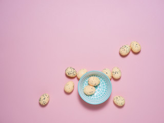 Exotic eggs on pastel backgrounds individually.