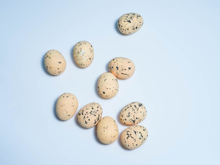 Exotic eggs on pastel backgrounds individually.