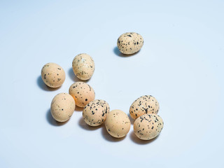 Obraz premium Exotic eggs on pastel backgrounds individually.