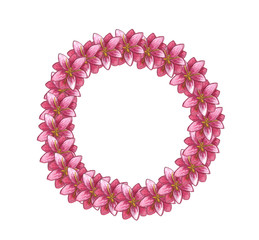 Hand drawn spring flowers crocus mimosa frame