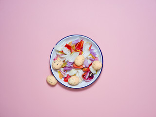 A white plate on a pink background with tulips