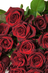 赤いバラの花束