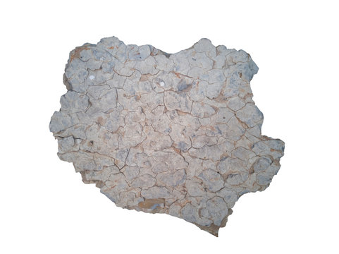 Texture of Shale rock isolated on white background included clipping path, Top view.