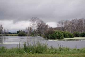 landscape with lake and trees