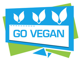 Go Vegan Green Blue Squares Triangles 