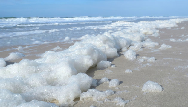 White Sea foam blown by strong on-shore winds to the Kampen beach in Sylt island, Germany. A global phenomenon of the ocean. Algal blooms and dissolved organic matter in the ocean are churned up. Photos | Adobe Stock