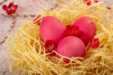 Easter eggs in the nest