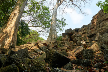 Wood in temple complex Angkor Wat Siem Reap, Cambodia
