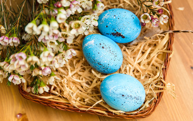 Fototapeta na wymiar Easter blue eggs with flowers in a wicker on a wood texture background