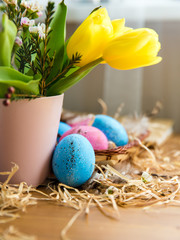Easter blue and pink eggs with tulips in a wicker with feathers and straw on a wood texture background