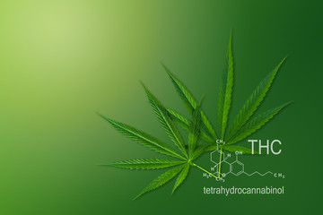 Medical chemical formula hemp THC, Molecular structure marijuana tetrahydrocannabinol.