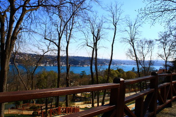 Fototapeta na wymiar View of the wooden barriers and the Bosphorus among the trees....