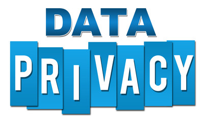 Data Privacy Blue Professional 3047
