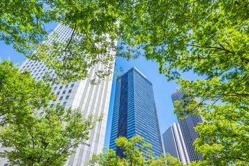Obraz na płótnie Canvas Asia Business concept for real estate, corporate construction and ecology - looking up view of panoramic modern city skyline with blue sky and green tree in shinjuku, tokyo, japan