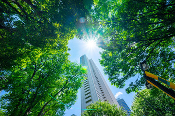 Asia Business concept for real estate, corporate construction and ecology - looking up view of panoramic modern city skyline with blue sky and green tree in shinjuku, tokyo, japan © voyata