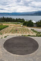 Vineyard with round helipad on the lake shore