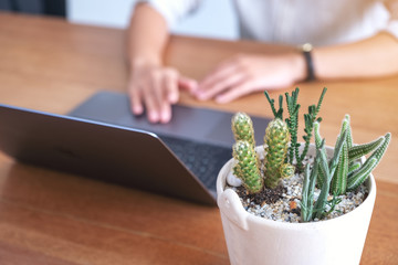 Closeup image of a woman using and touching on laptop computer touchpad with cactus pot on wooden table