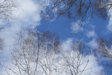 Narrow street with stairs and flowers