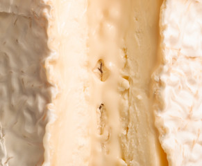 young camembert cheese