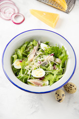 Fresh salad with salted herring, fish, lettuce, boiled quail eggs, red onions and hard Parmesan cheese. Delicious lunch, spring green food