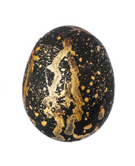 Colorful Easter Egg isolated on white