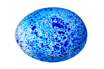 Colorful Easter Egg isolated on white