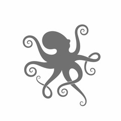 Octopus. Isolated mollusk on white background