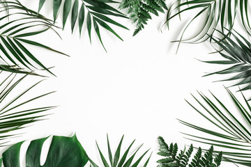 Naklejka na ściany i meble Summer composition. Tropical palm leaves on white background. Summer concept. Flat lay, top view, copy space