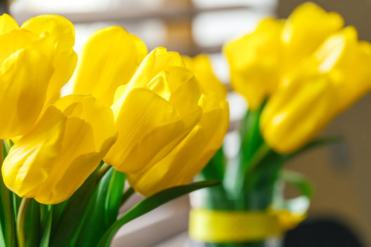 Close up image of yellow tulip