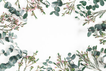 Flowers composition. Frame made of eucalyptus branches and pink flowers on white background. Flat lay, top view, copy space