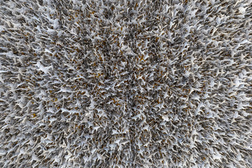 Abstract silver sheets hanging on ceiling