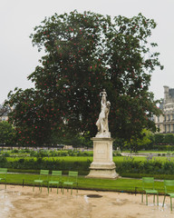 Obraz premium Statue and trees in Tuileries Garden, in Paris, France