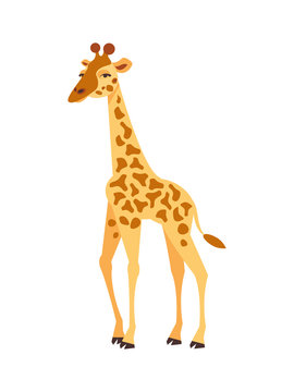 Cartoon giraffe vector