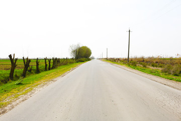 Fototapeta premium Road through the countryside in spring time