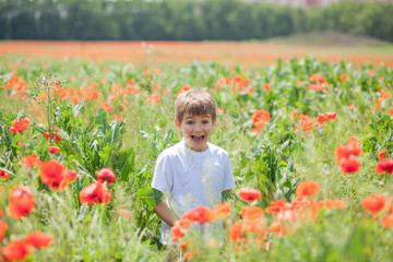 happy brunette boy 8-9 years old on the nature in the poppy field in spring, portrait of a child