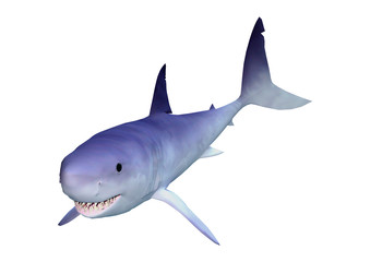 Obraz premium 3D Rendering Shark on White