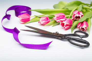 tulip flowers with ribbon and scissors