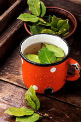 Cup of herbal tea with bay leaf