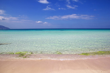 Obraz premium Socotra island, Yemen, Indian ocean