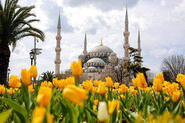 The Blue Mosque of Sultan Ahmet