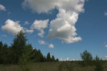 Obraz premium blue sky and clouds