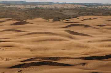 Desert with sand dunes on a clear sunny day. Desert landscape.