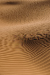 Desert with sand dunes on a clear sunny day. Desert landscape.