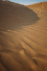 Desert with sand dunes on a clear sunny day. Desert landscape.
