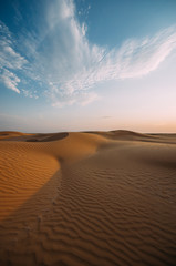 Desert with sand dunes on a clear sunny day. Desert landscape.