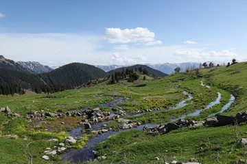 Fototapeta na wymiar Beautiful mountain scenery with streams