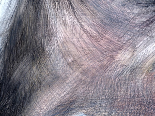 line pencil on white paper abstract background and texture.