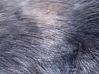 line pencil on white paper abstract background and texture.